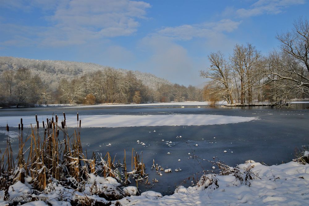 Winter im Park