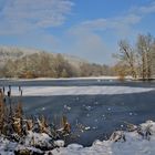 Winter im Park