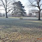 Winter im Park