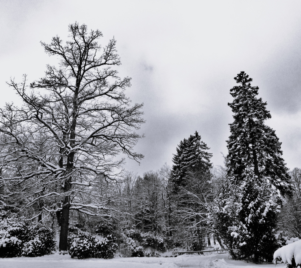 Winter im Park