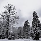 Winter im Park