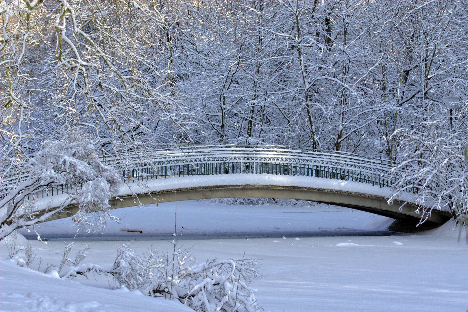 Winter im Park