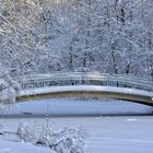 Winter im Park