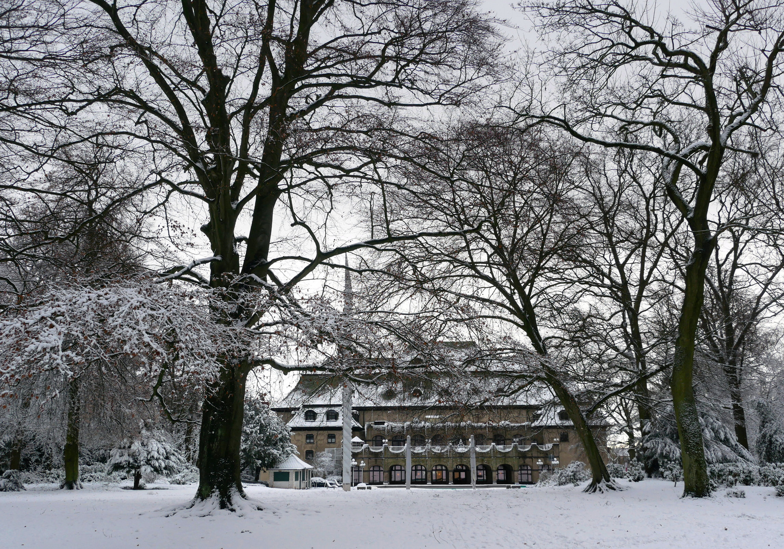 Winter im Park