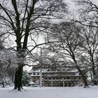 Winter im Park