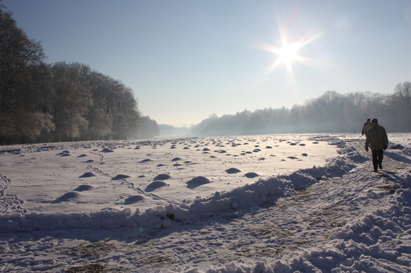 Winter im Park