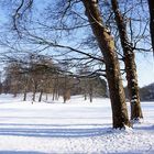 Winter im Park