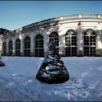 Winter im Park ....