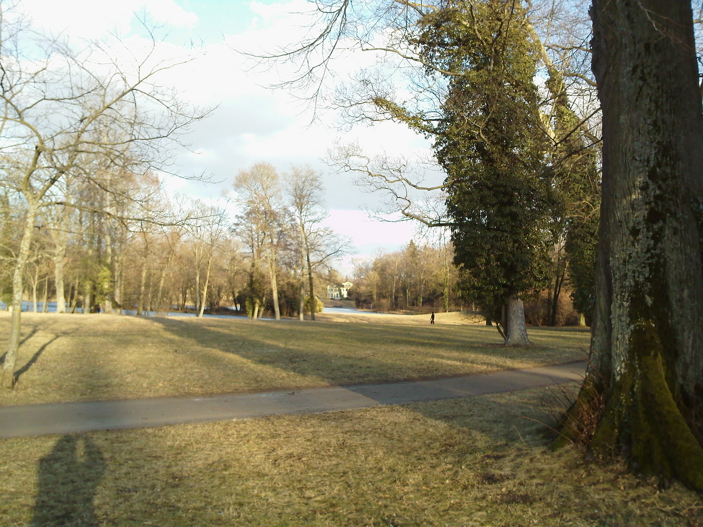 Winter im Park