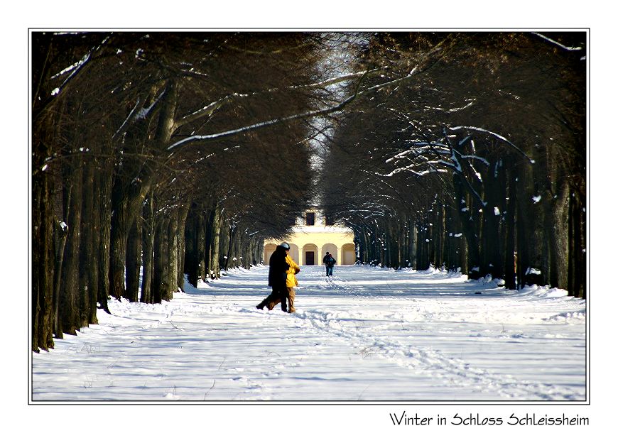 Winter im Park