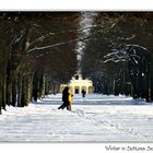 Winter im Park