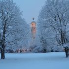 Winter im Park