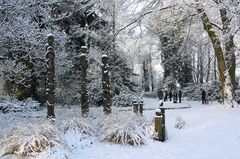 Winter im Park