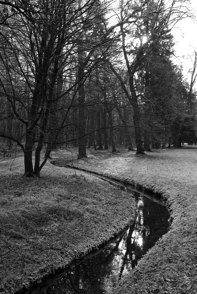 Winter im Park