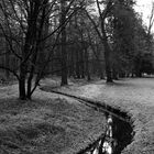 Winter im Park