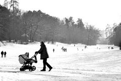 Winter im Park