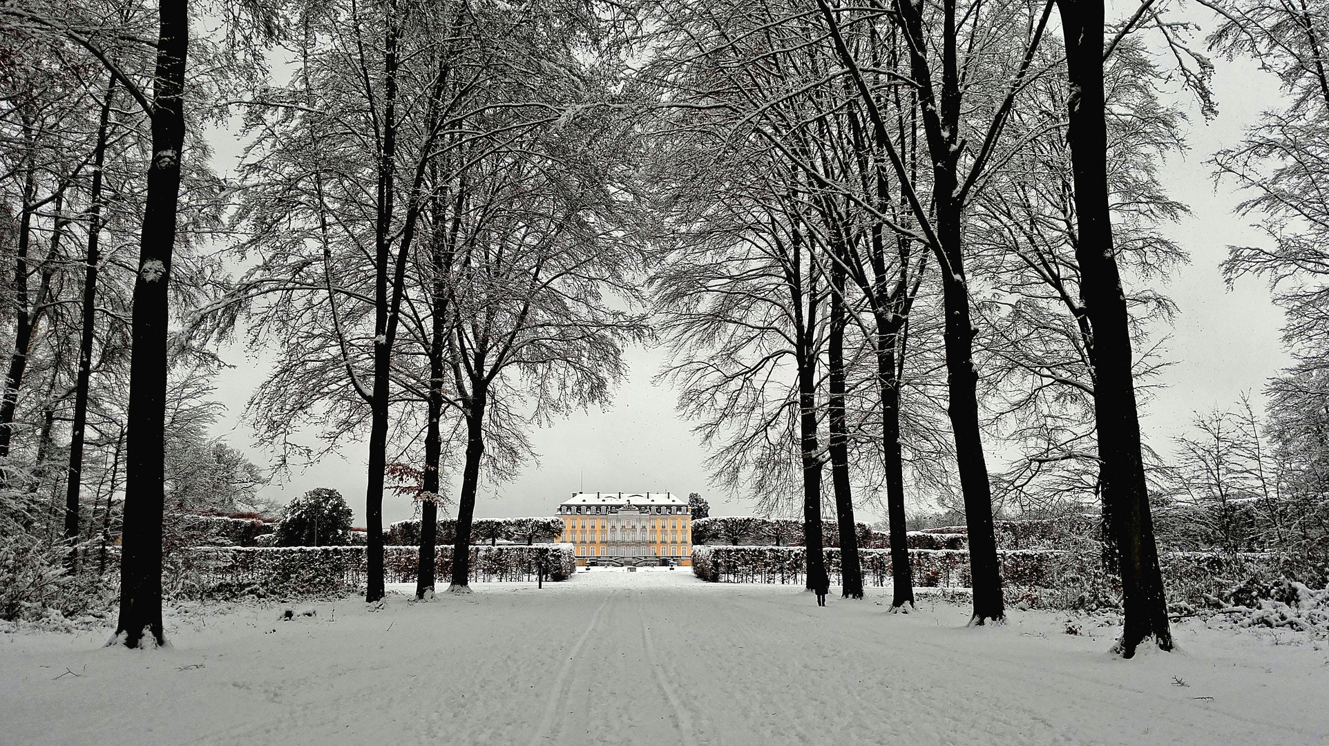 Winter im Park