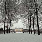 Winter im Park