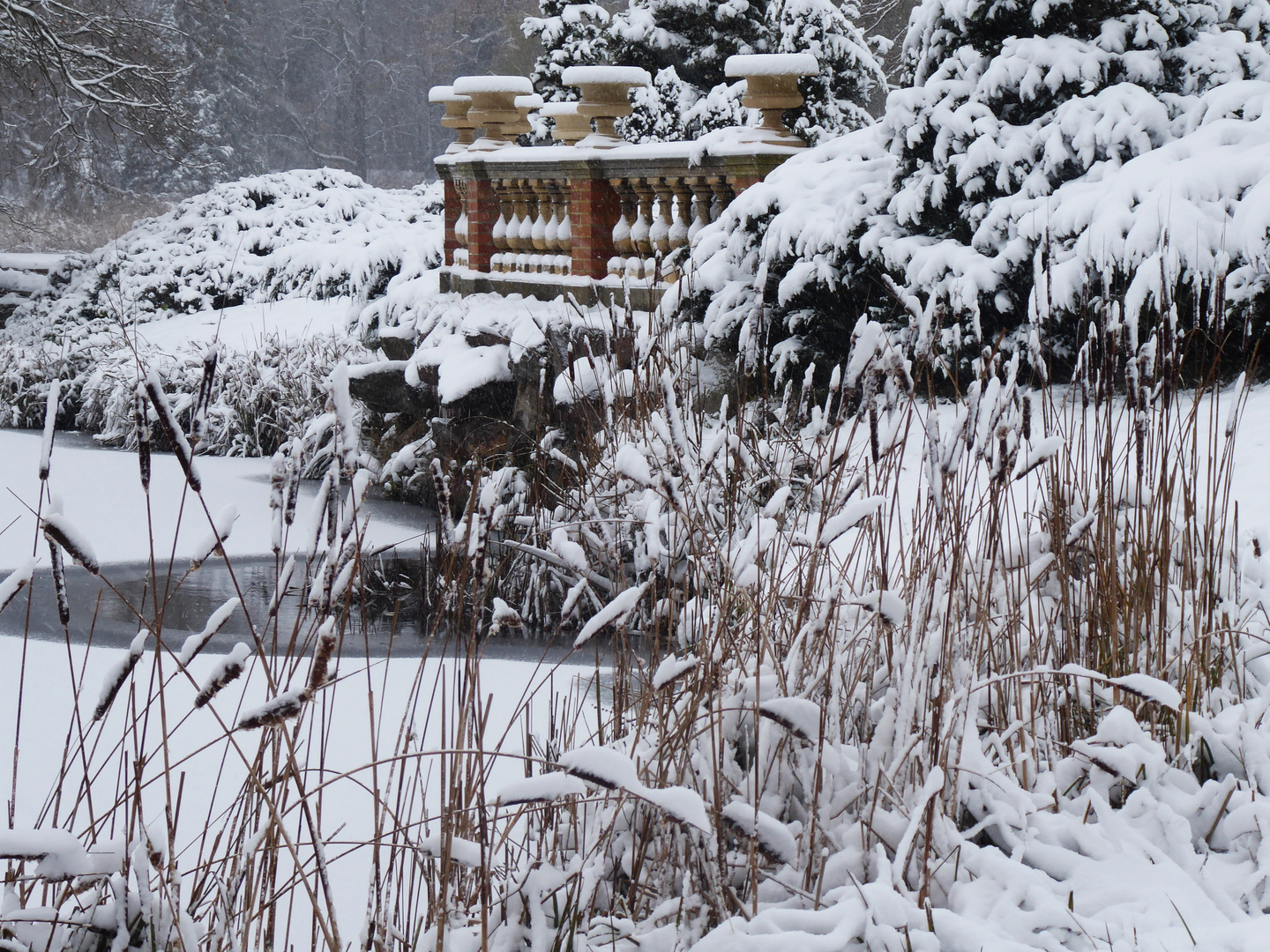 Winter im Park