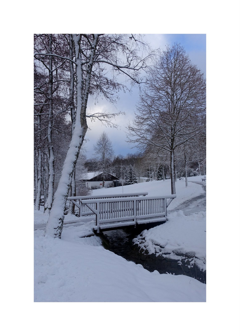 Winter im Park