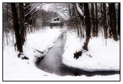 Winter im Park