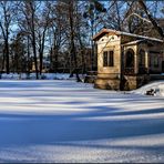 | Winter im Park