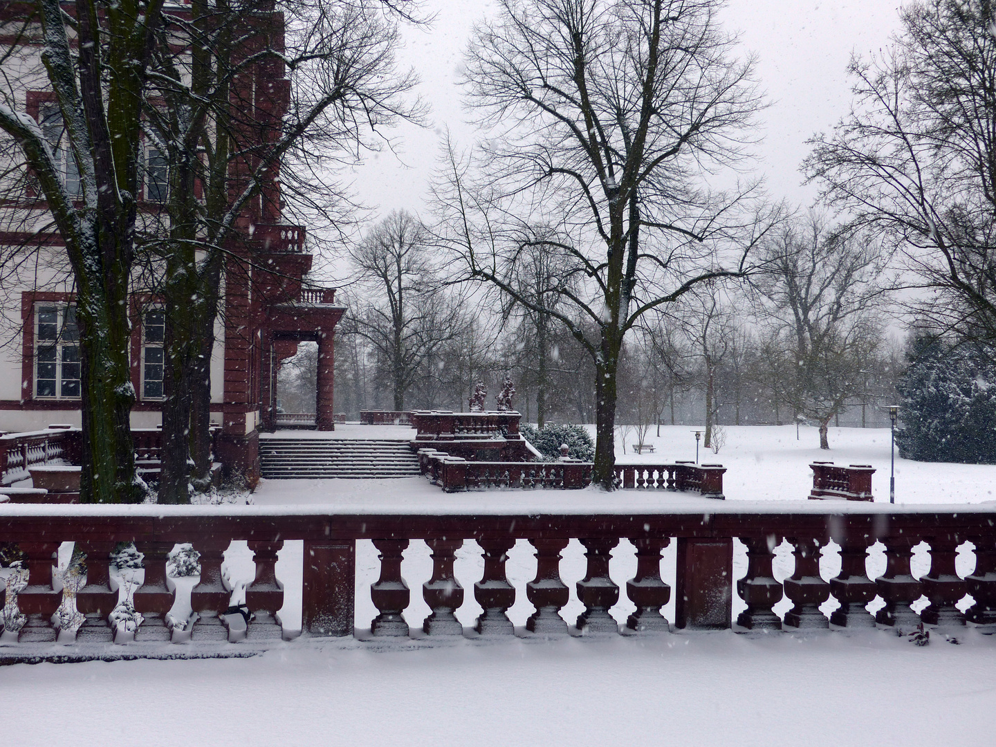 Winter im Park ...