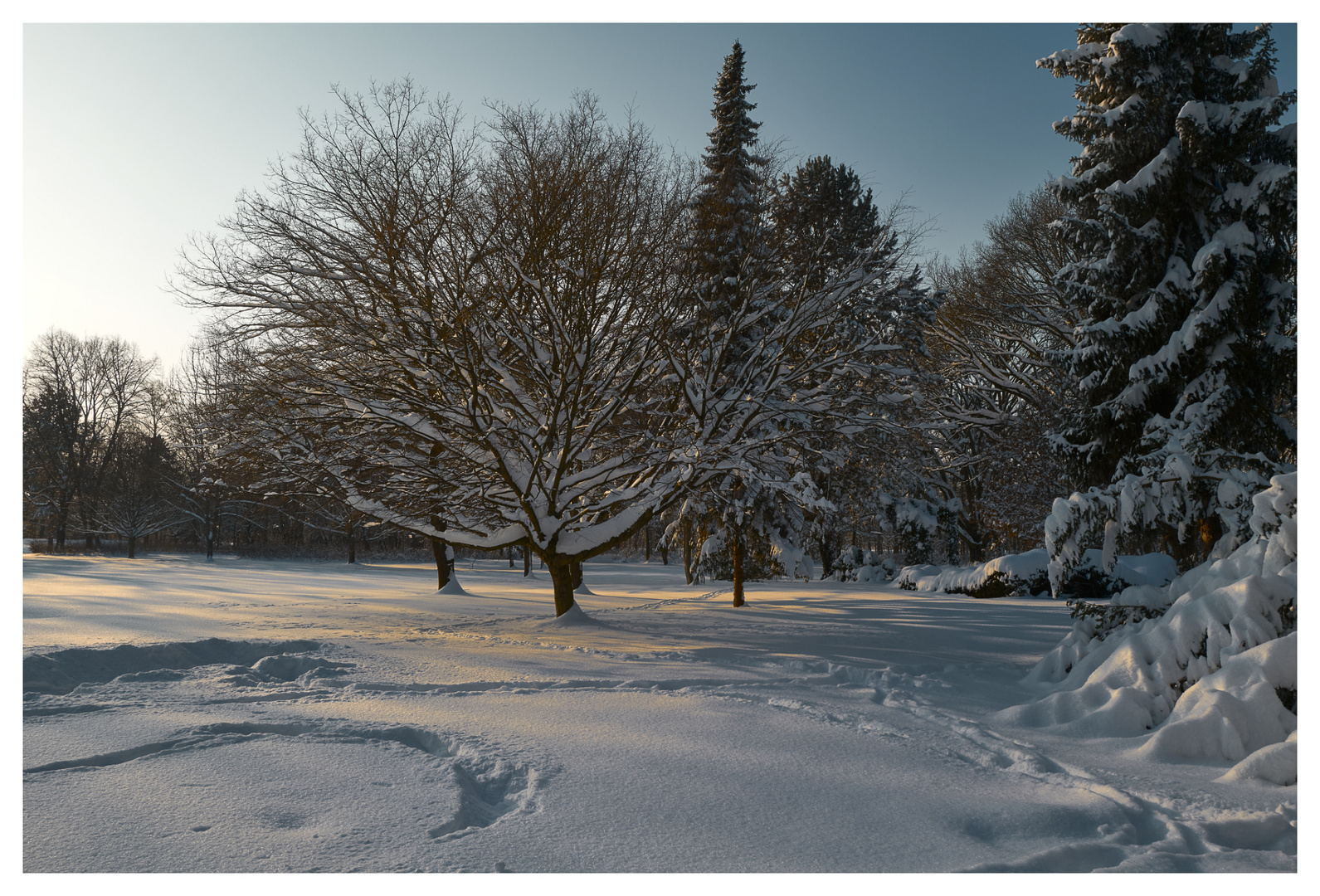 Winter im Park...