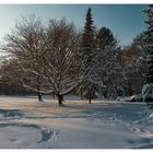 Winter im Park...