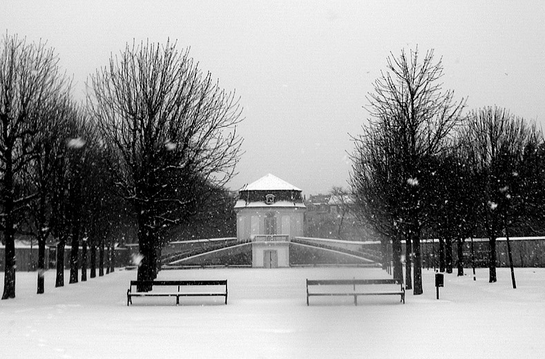 Winter im Park