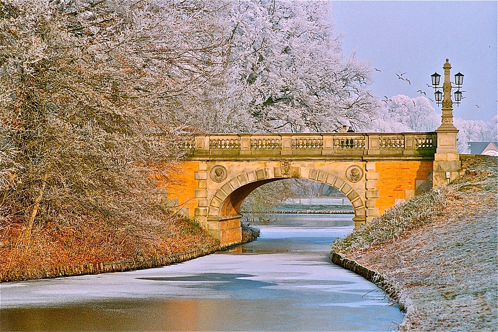 Winter im Park