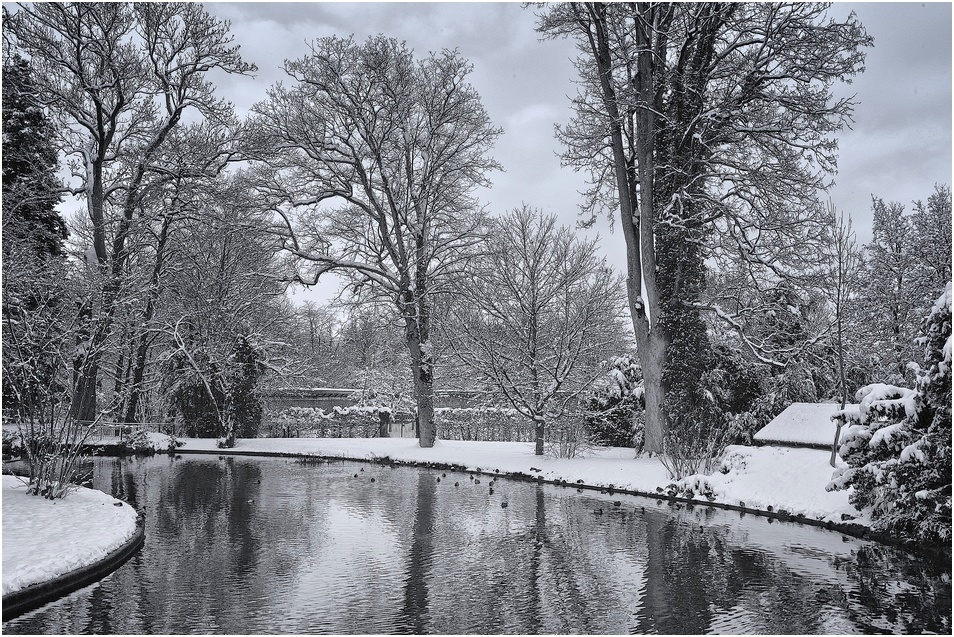 Winter im Park...