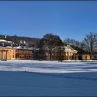 | Winter im Park .