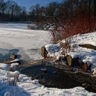 Winter im Park