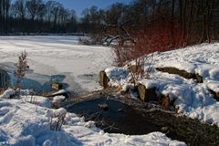 Winter im Park