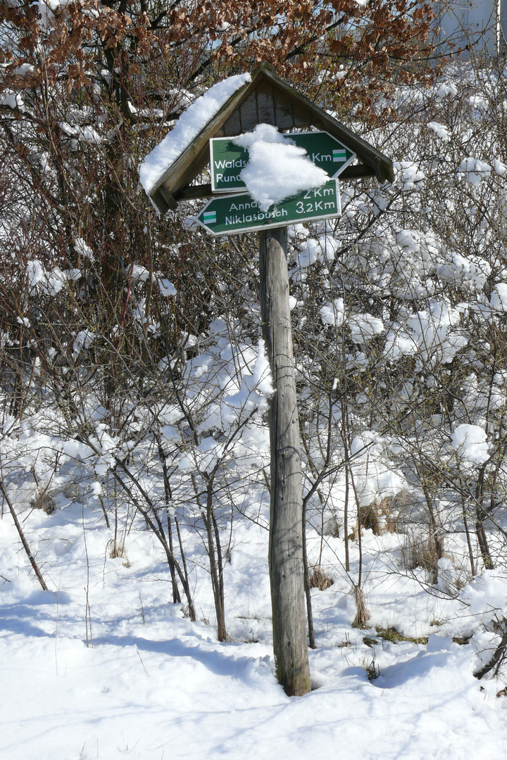 Winter im Park