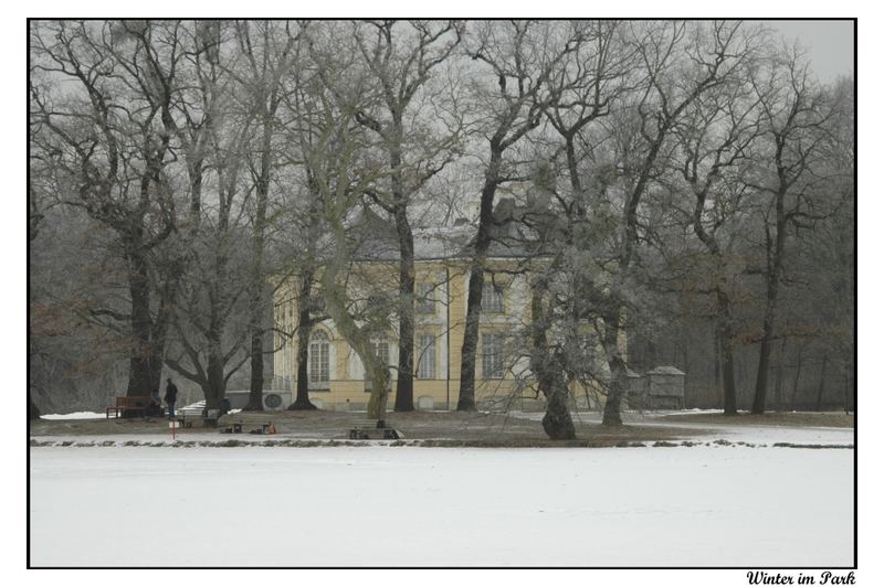 Winter im Park