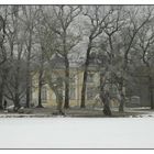 Winter im Park