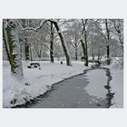 Winter im Park