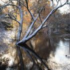 Winter im Park