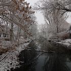 Winter im Park