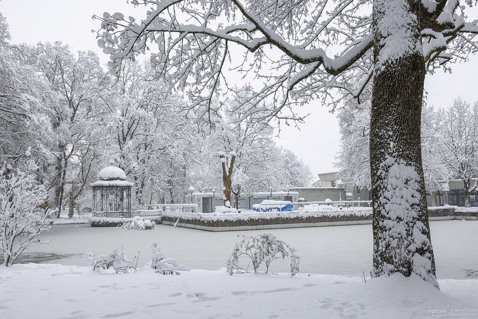 Winter im Park