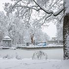 Winter im Park