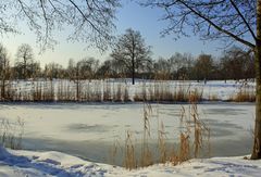 Winter im Park