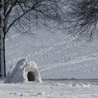 Winter im Park