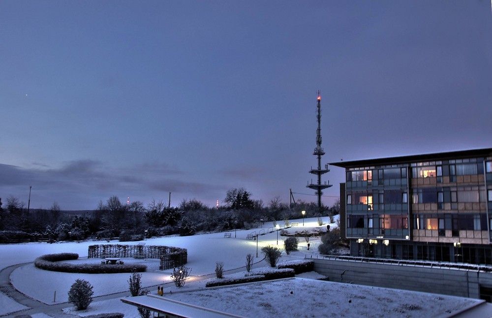 Winter im Park