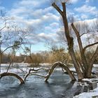 Winter im Park