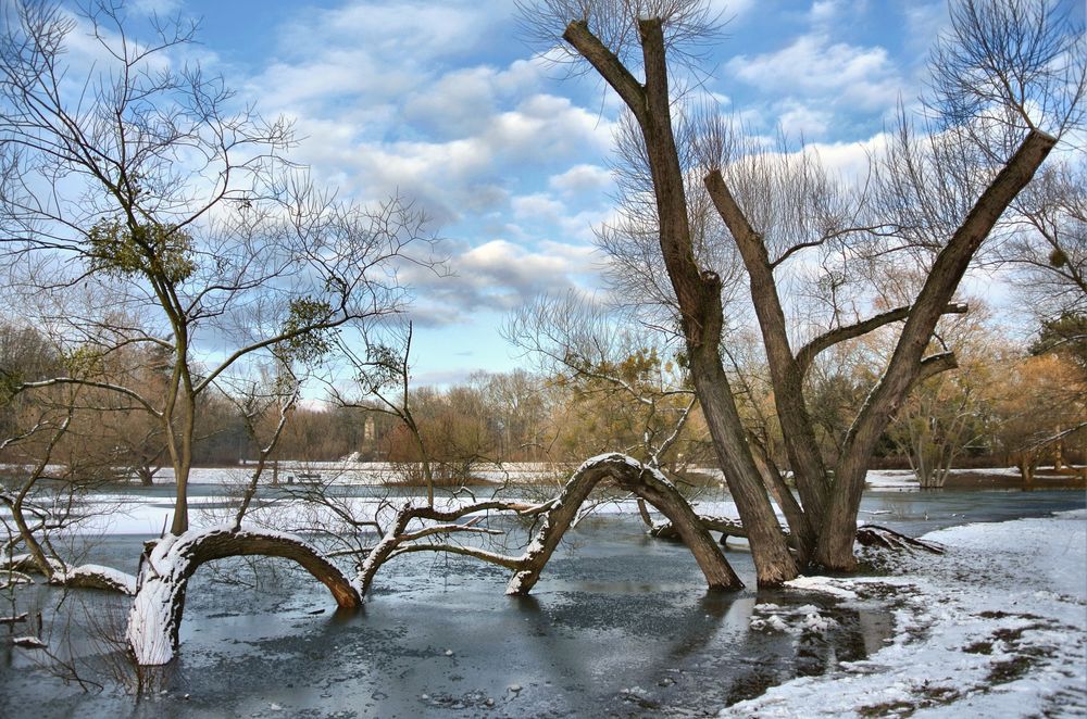 Winter im Park