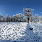 Winter im Park