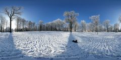 Winter im Park